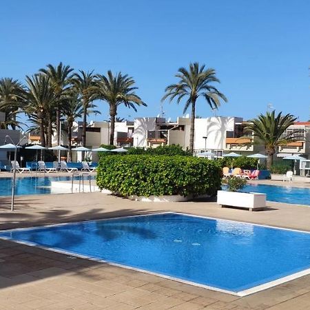 Simple Apartment Frontera Primavera Pool In South Tenerife Costa Del Silencio Eksteriør bilde